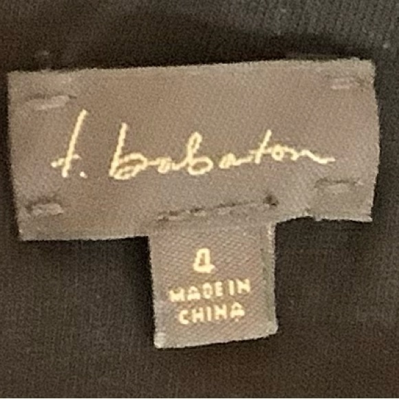 Babaton Lace Dress - Picture 3 of 3